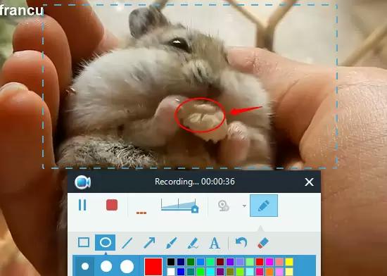 record video step 4 | apowersoft screen recorder for pc