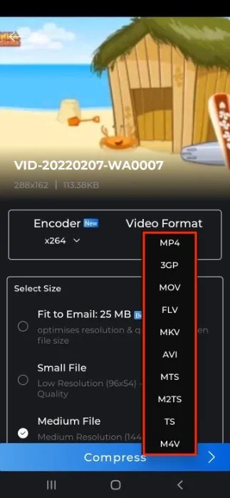 Video Format | how to compress a video on android