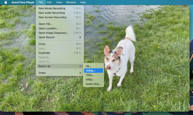 Komprimieren Sie ein Video auf QuickTime Schritt 4 | video quicktime komprimieren