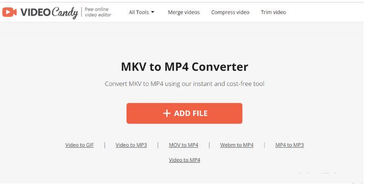 VideoCandy と | mkv を mp4 に変換