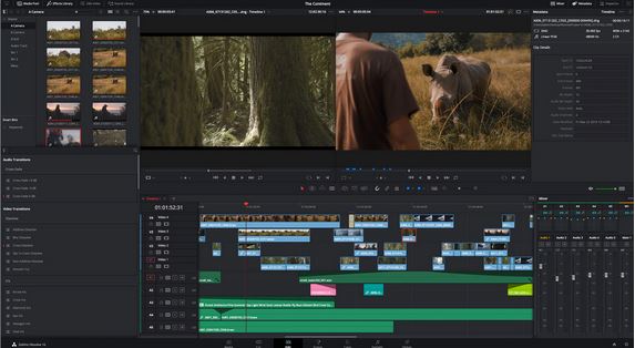 DaVinci Resolve  | simple video editor