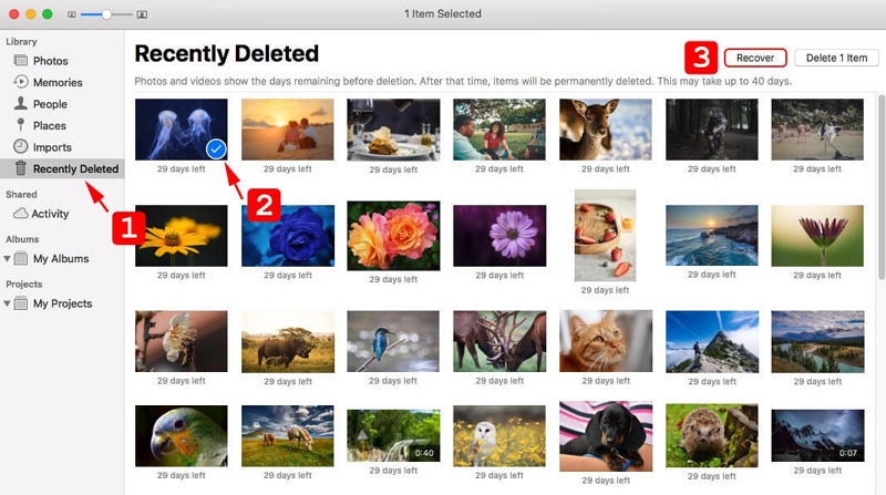 using Recently Deleted Folder | photo recovery mac
