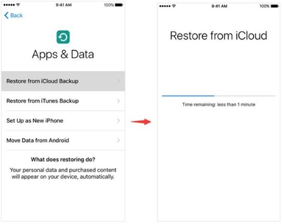 vie iCloud Schritt 3 | Daten von wassergeschädigtem iphone wiederherstellen