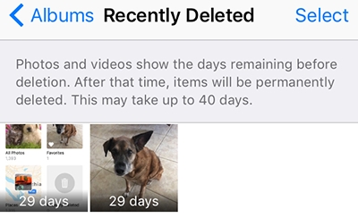 Using photos app step 4 | recover deleted photos from iphone