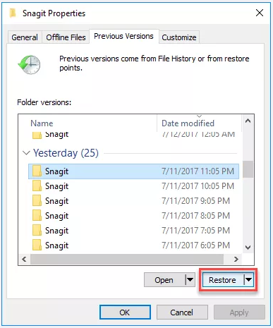 from the Previous Version | recover deleted files from recycle bin