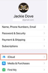 via an iCloud Backup | sim card contacts recovery