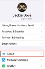 über ein iCloud-Backup | Wiederherstellung der Kontakte der SIM-Karte