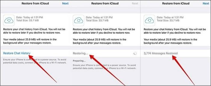 WhatsApp-Backup Schritt 3 | iPhone WhatsApp-Datenwiederherstellung