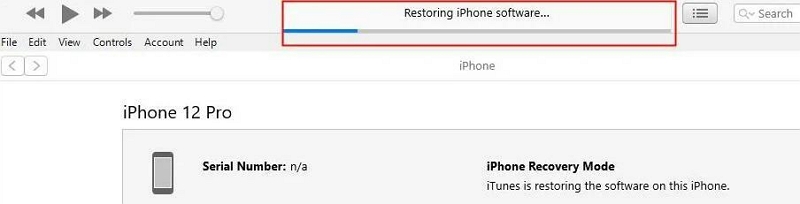 reset iphone with recovery mode step 6 | iphone password recovery