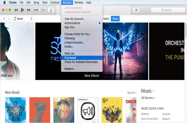 Wiederherstellen von Musik aus dem iTunes Store Schritt 1 | Gelöschte Musik auf dem iPhone ohne Computer wiederherstellen