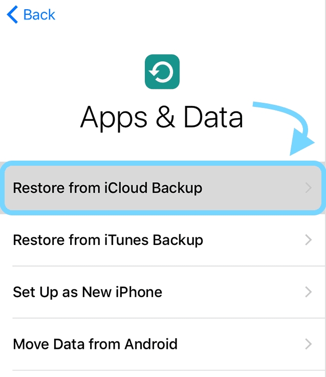 Textnachrichten aus iCloud-Backup wiederherstellen | iPhone gelöschte SMS abrufen