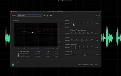 Wählen Sie die Audiovoreinstellung Adobe Audition | bester Spracheditor