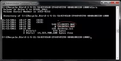Using Command Prompt/CMD | recover deleted files from recycle bin