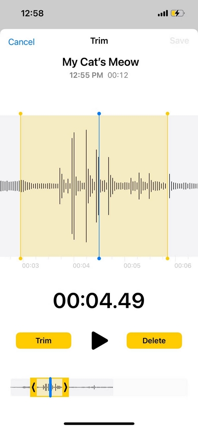 iPhone で Podcast を録音する ステップ 5 | iPhoneでポッドキャストを録音する方法