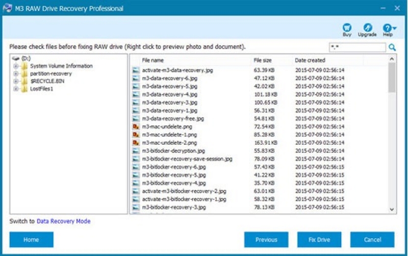 selected files to preview | M3 Raw Drive Recovery